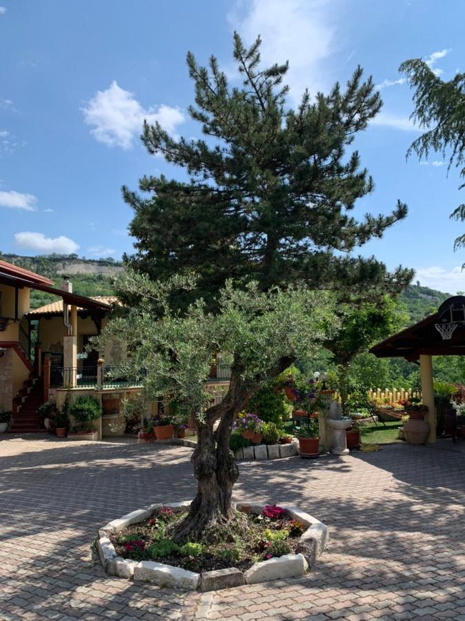 Le Ceppete Apartment Palombaro ภายนอก รูปภาพ